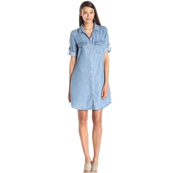 Denim chambray button front dress