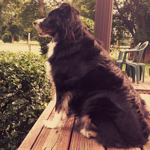 Meet your Posher, Erica ⭐ - Picture 3 of 4