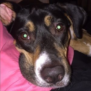 Meet your Posher, Kristina