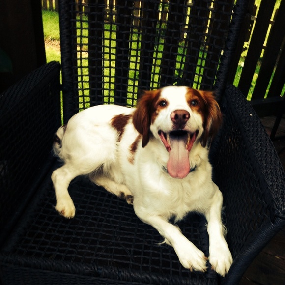 Meet your Posher, Ashley