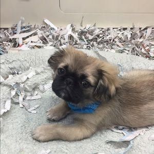 Meet your Posher, Ryan