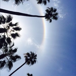 Meet your Posher, Karringtan