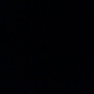 Meet your Posher, Lizzy