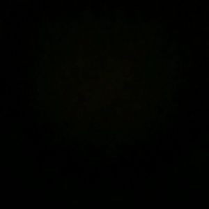 Meet your Posher, Francine