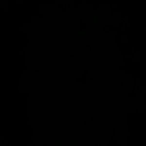 Meet your Posher, Sadie