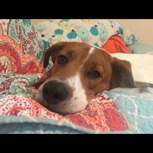 Meet your Posher, Rachael