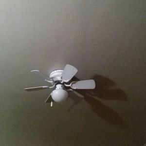 Meet your Posher, Lynette