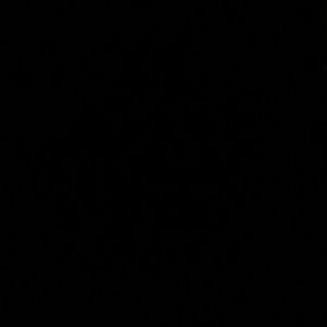 Meet your Posher, Connie