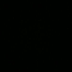 Meet your Posher, Ethan