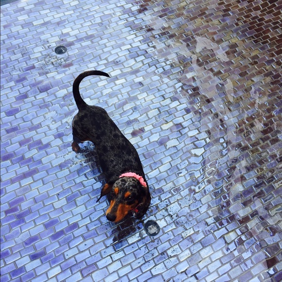 Meet your Posher, Angela