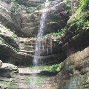 Meet your Posher, Casey