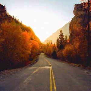 Meet your Posher, Jacey