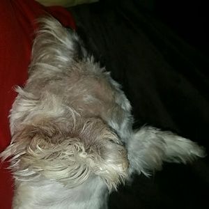 Meet your Posher, Amber