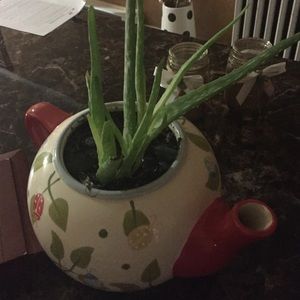 Meet your Posher, Adelina