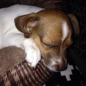 Meet your Posher, Cameron