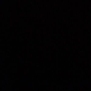 Meet your Posher, Joey