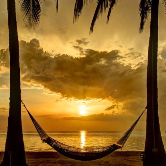 Meet your Posher, Lynn - Picture 1 of 1