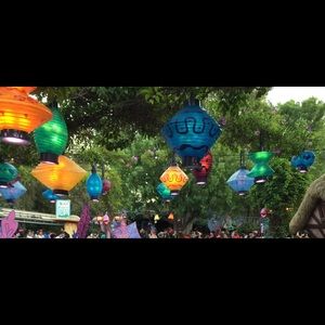 Meet your Posher, Lisette