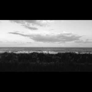 Meet your Posher, Kelci