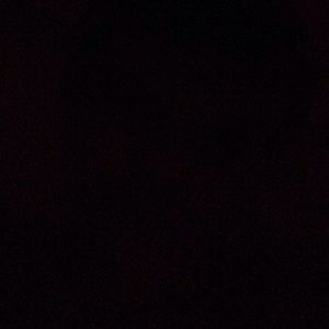 Meet your Posher, Tyson