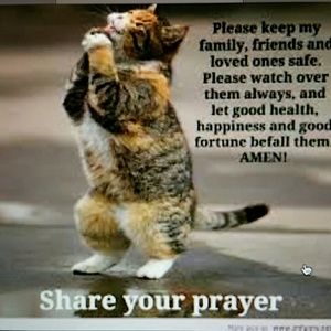 PEACE LOVE N HAPPINESS