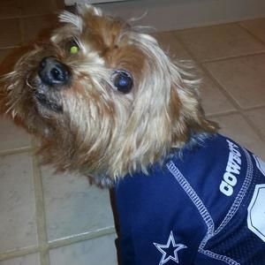 Meet your Posher, Cristine