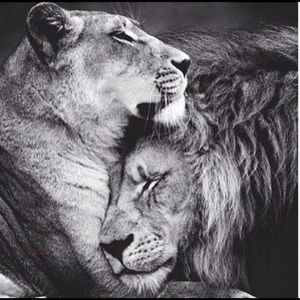 Meet your Posher, Samara