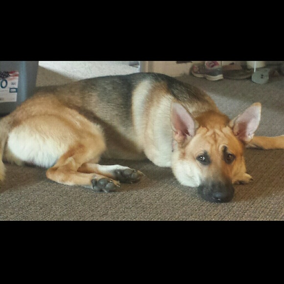 Meet your Posher, Stefanie