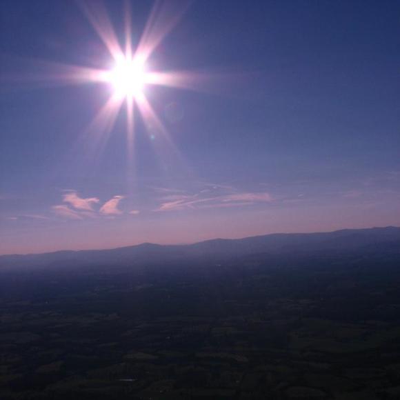 Meet your Posher, Sandra - Picture 1 of 1