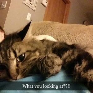 Meet your Posher, Marie