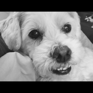 Meet your Posher, Whitney