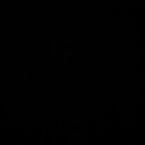 Meet your Posher, Dara