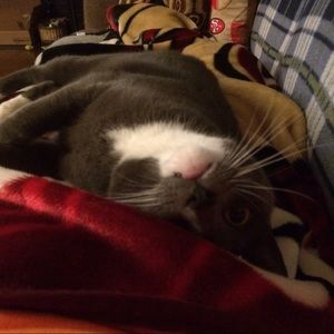 Meet your Posher, Irene