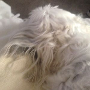 Meet your Posher, Jeff