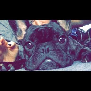 Meet your Posher, Brianna