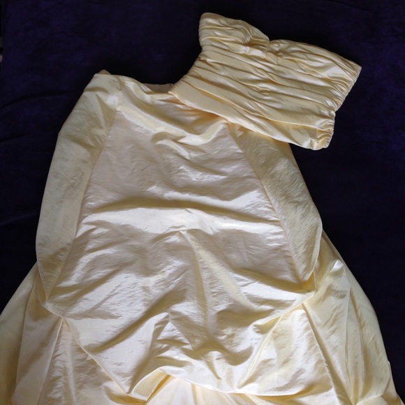 Beauty and the Beast Style Ball Gown