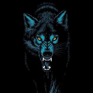 Meet your Posher, Miguel