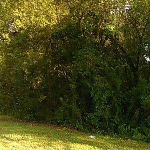 Meet your Posher, Christyn