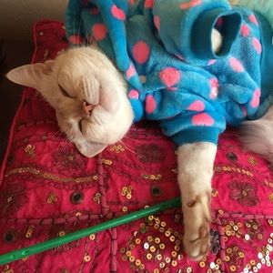 Meet your Posher, Tomoko