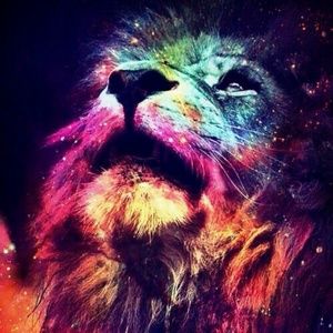 Meet your Posher, Stephany