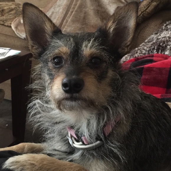 Meet your Posher, Kari - Picture 2 of 2