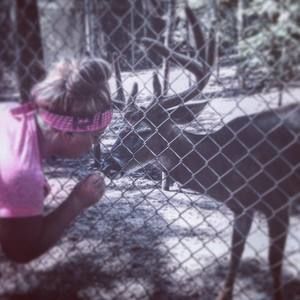 Meet your Posher, Shannon