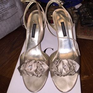 Beautiful evening shoes