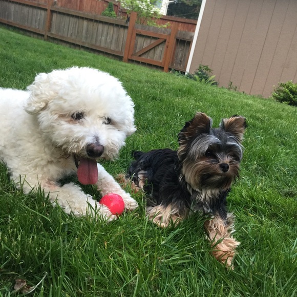 MEET YOUR SELLER!! 😍 - Picture 3 of 4