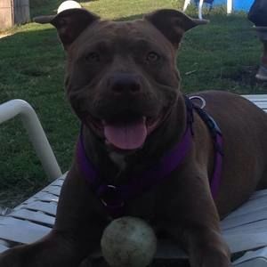 Meet your Posher, Ashlyn