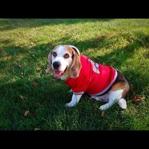 Meet your Posher, Mark