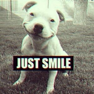 Meet your Posher, Sam