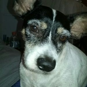 Meet your Posher, Lina