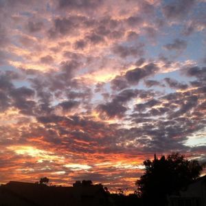 Meet your Posher, Phil