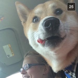 Meet your Posher, Maggie